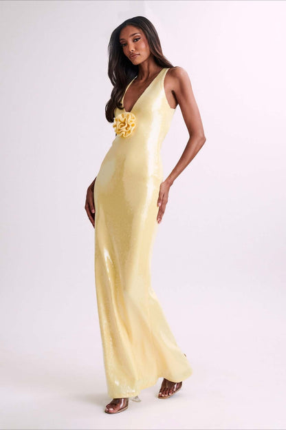 Classic Designed Dress