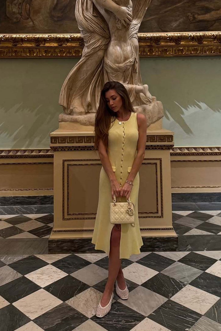 Elegantly Designed Dress