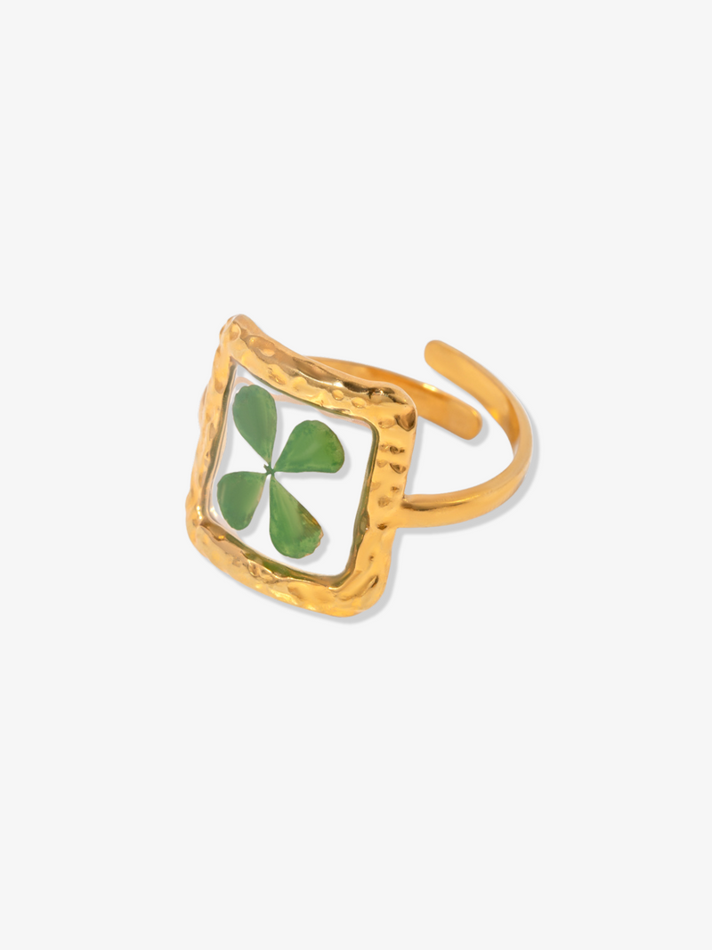 Spring Adjustable Ring Set