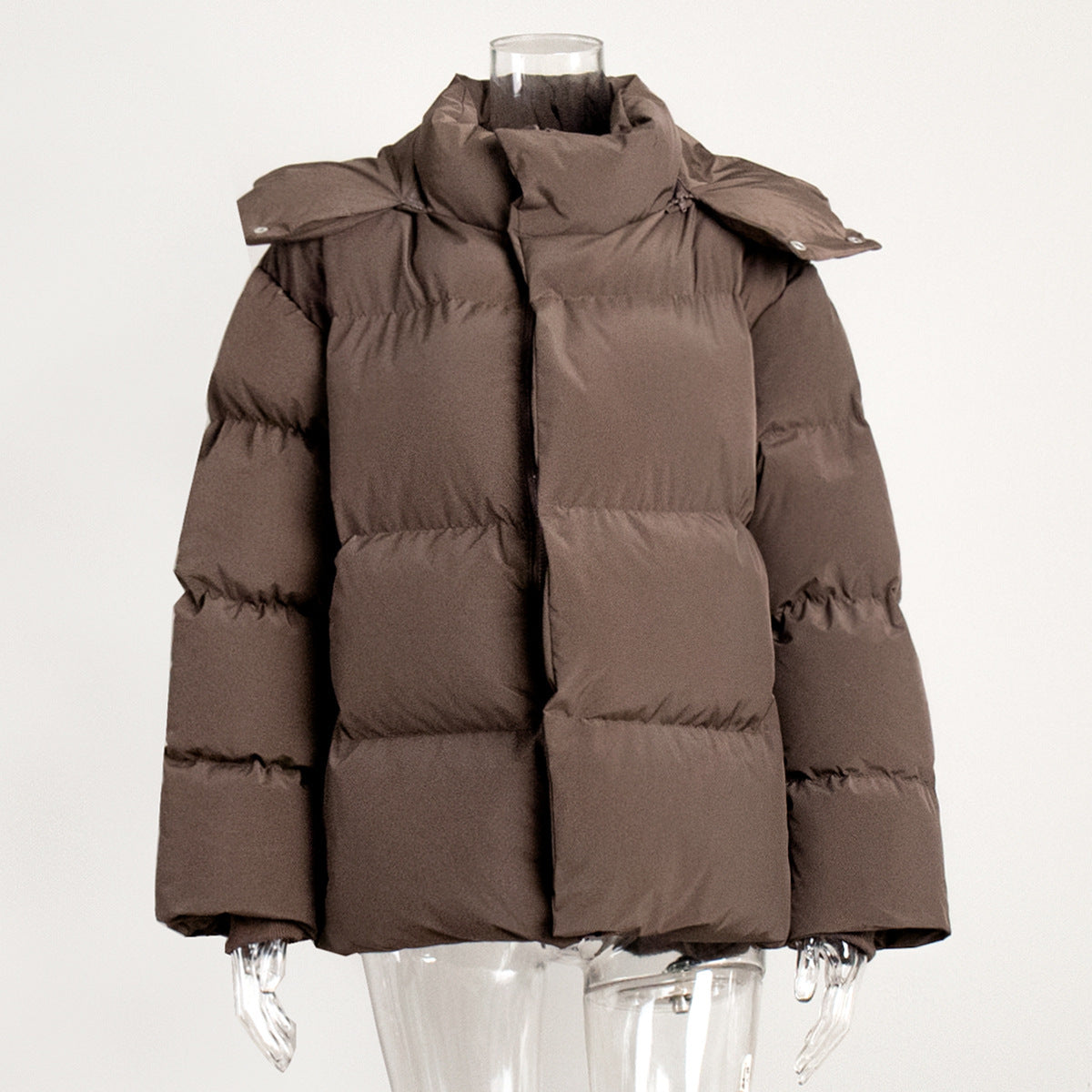 Gracefully Styled Coat for Any Occasion