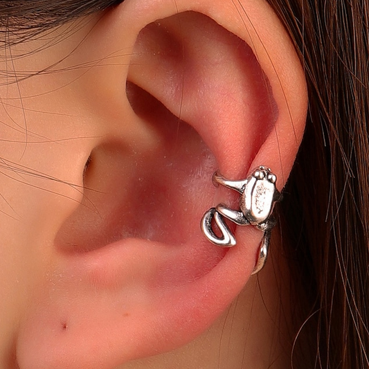 Silver Frog Earrings