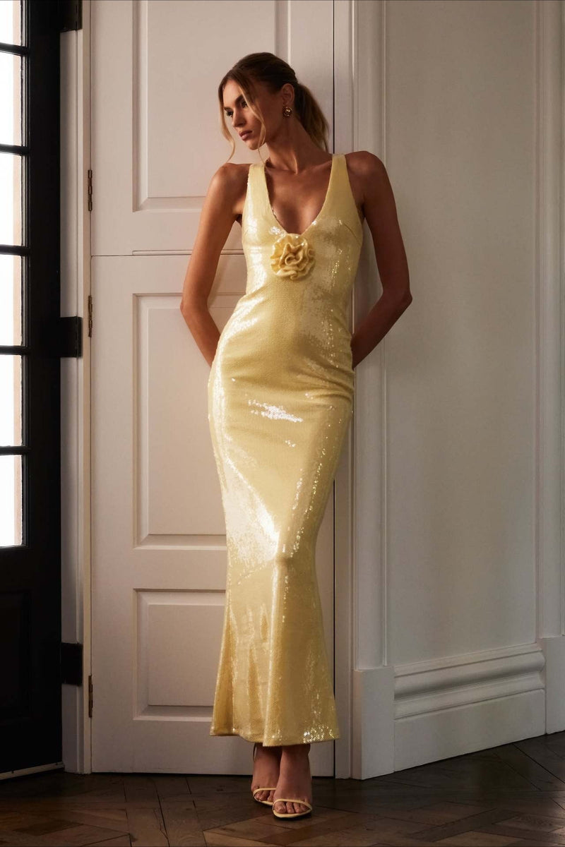 Classic Designed Dress