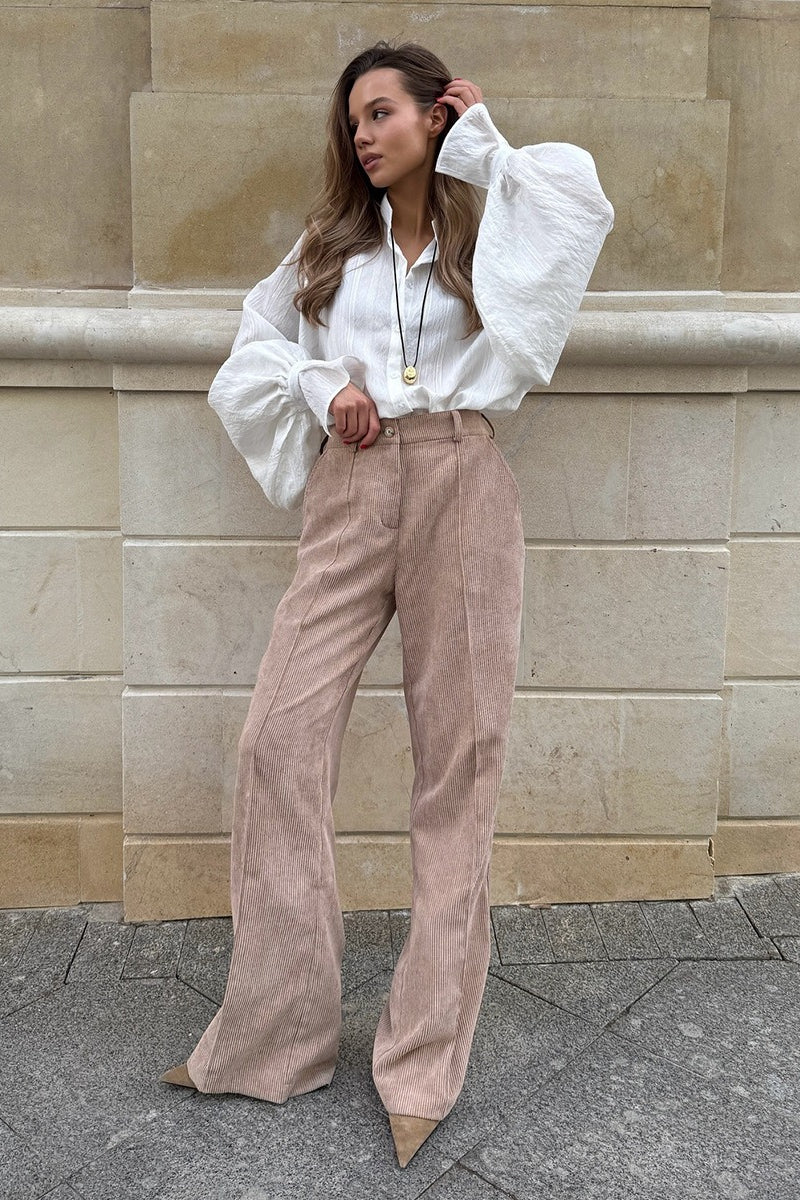 Elegantly Designed Pants