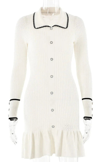 Sophisticated Dress with a Clean Classic Look