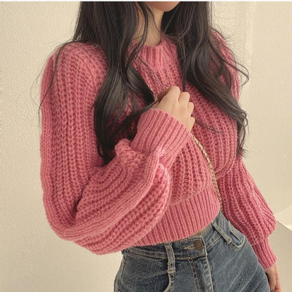 Gracefully Designed Sweater