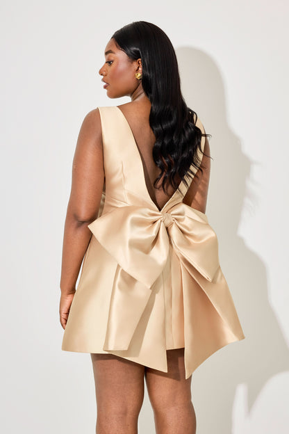 Sophisticated Dress with a Clean Classic Look