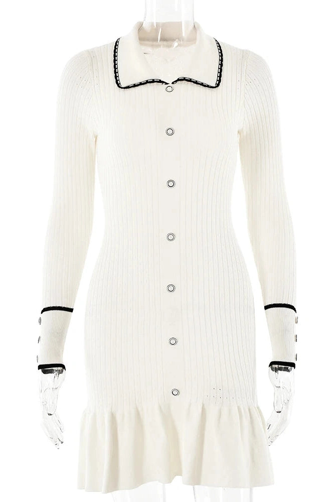 Sophisticated Dress with a Clean Classic Look