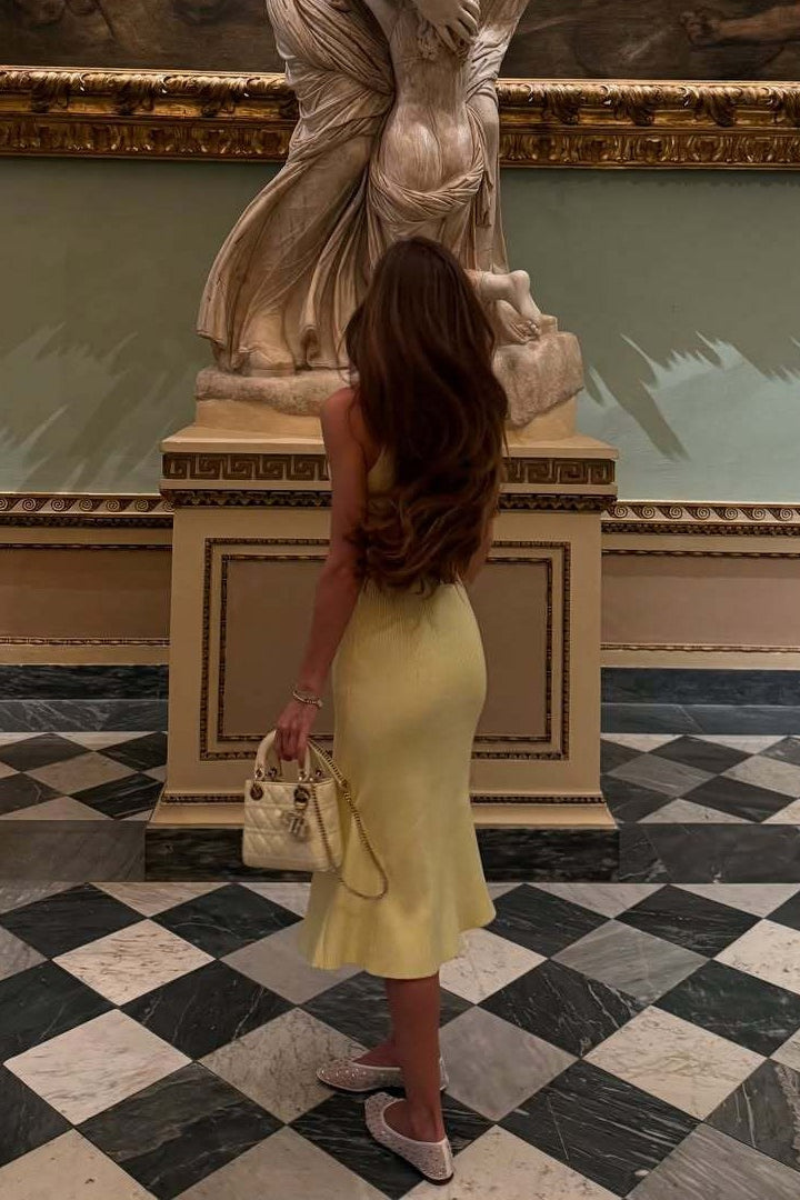 Elegantly Designed Dress