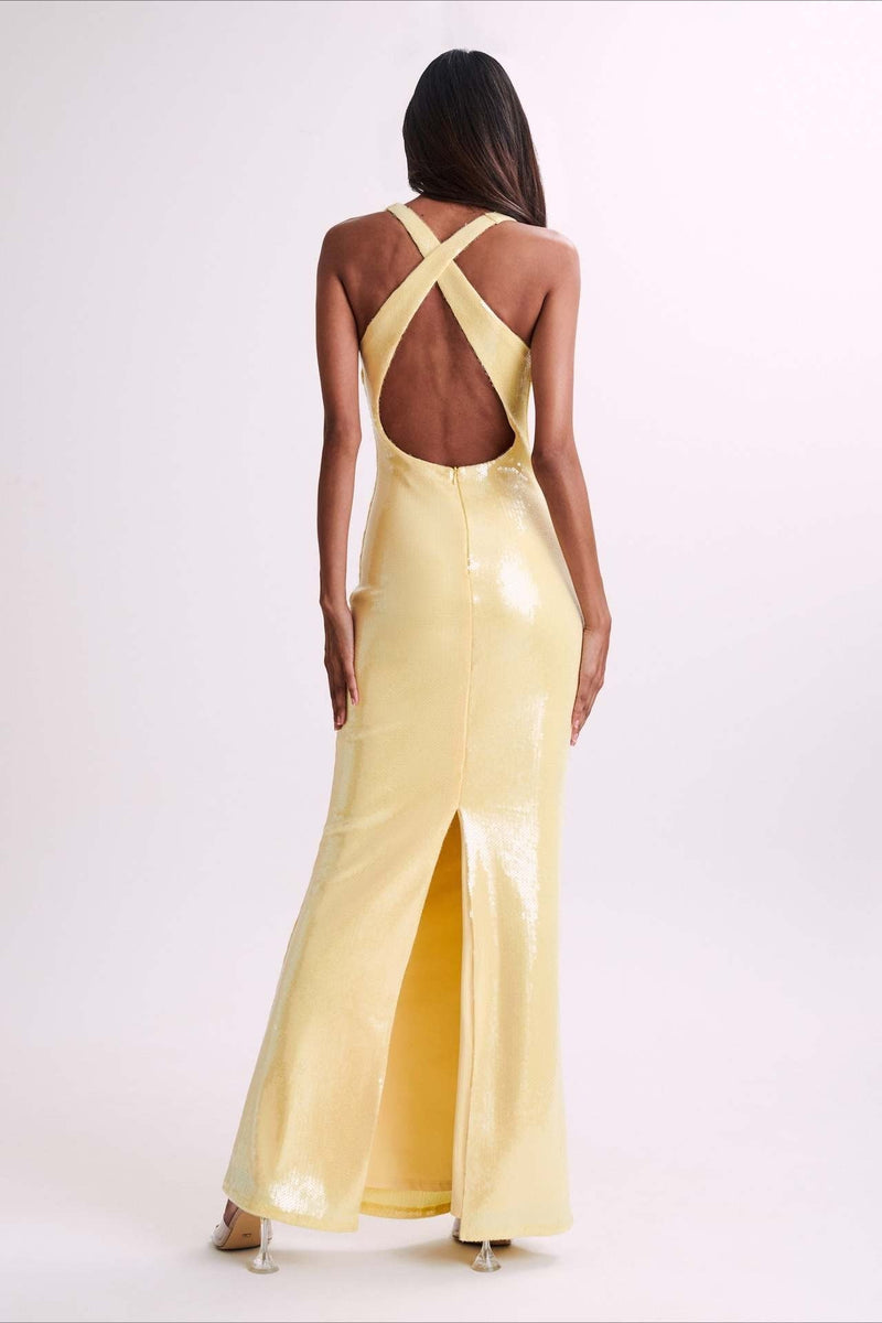 Classic Designed Dress