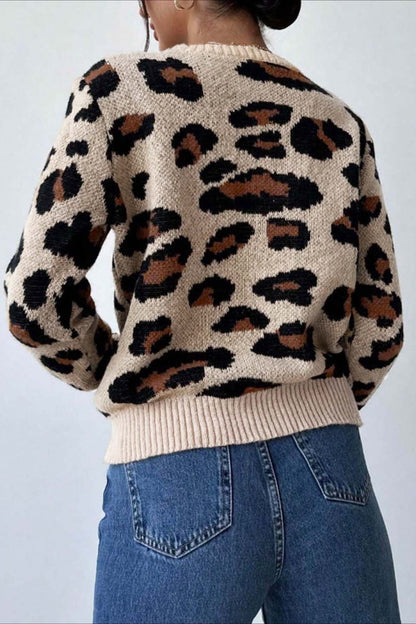 Elegantly Designed Sweater