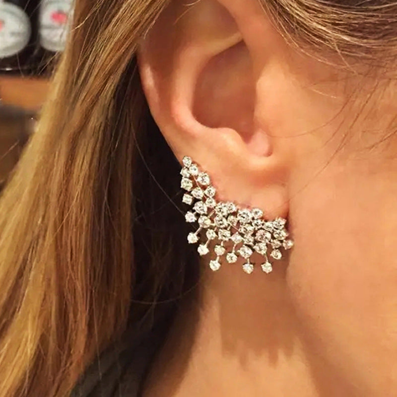 Beautiful Earring with Unique Style