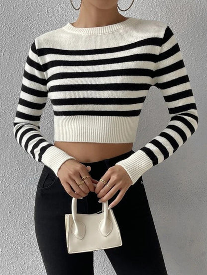 Elegantly Designed Sweater