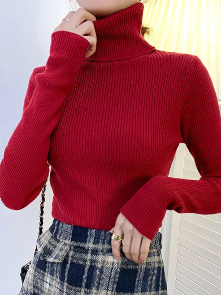 Thoughtfully Designed Sweater