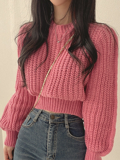 Elegantly Designed Sweater