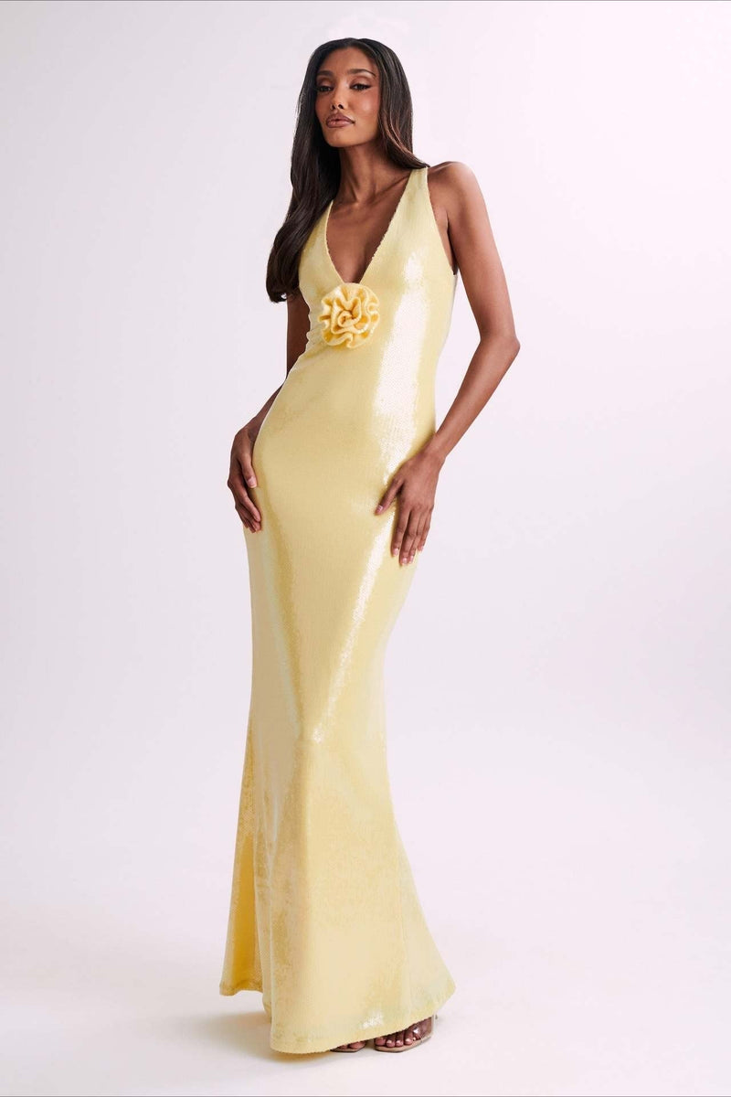 Classic Designed Dress