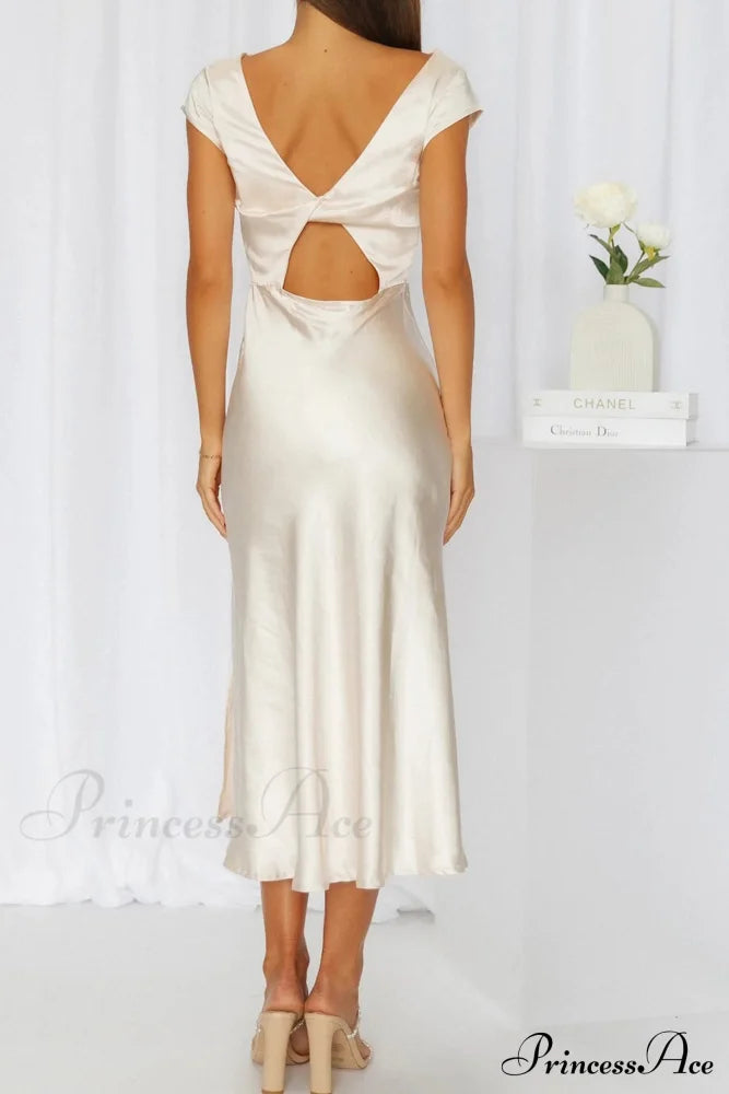 Classic Designed Dress